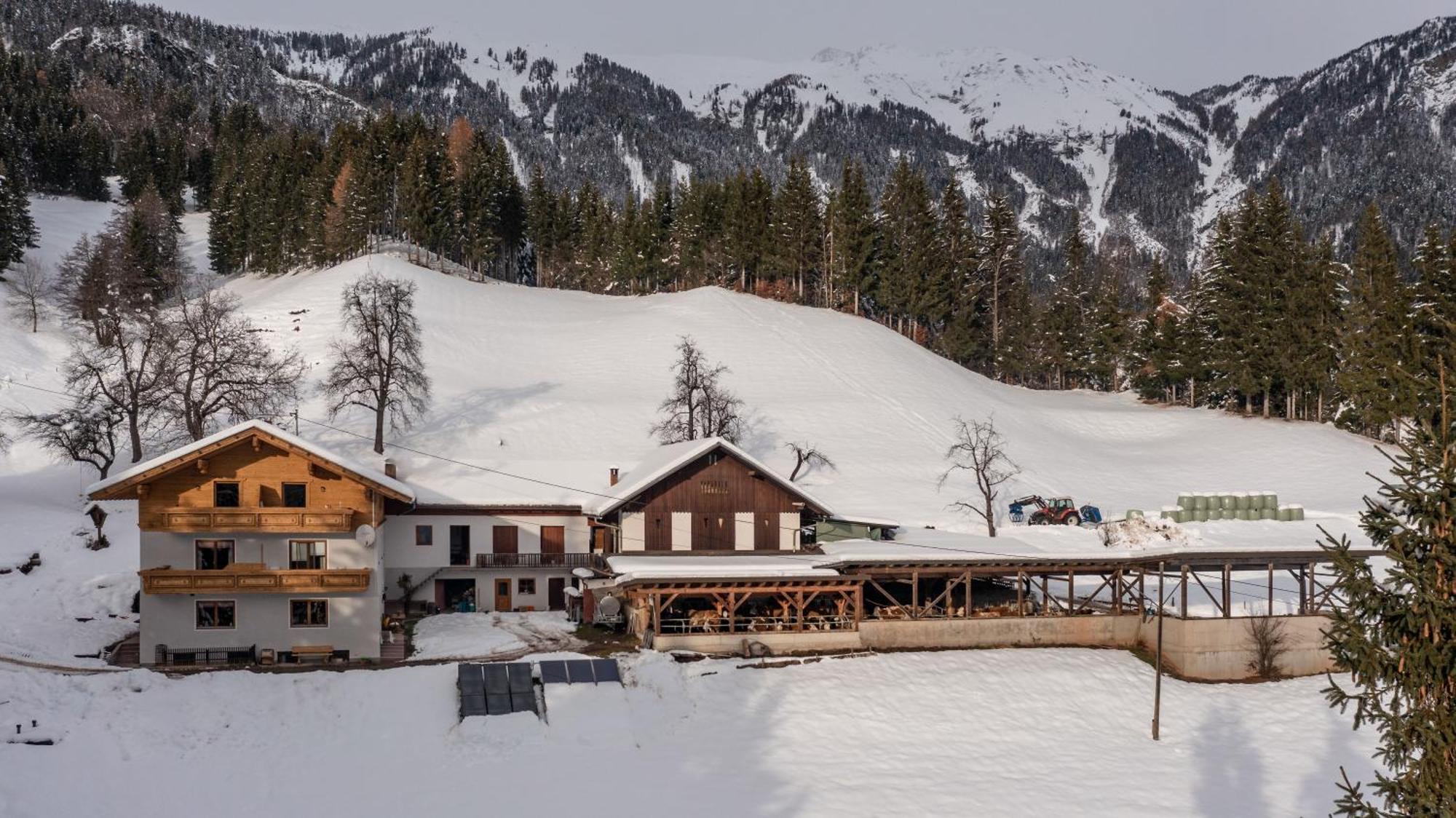 Apartamento Bio-Bergbauernhof Weger Dellach  Exterior foto