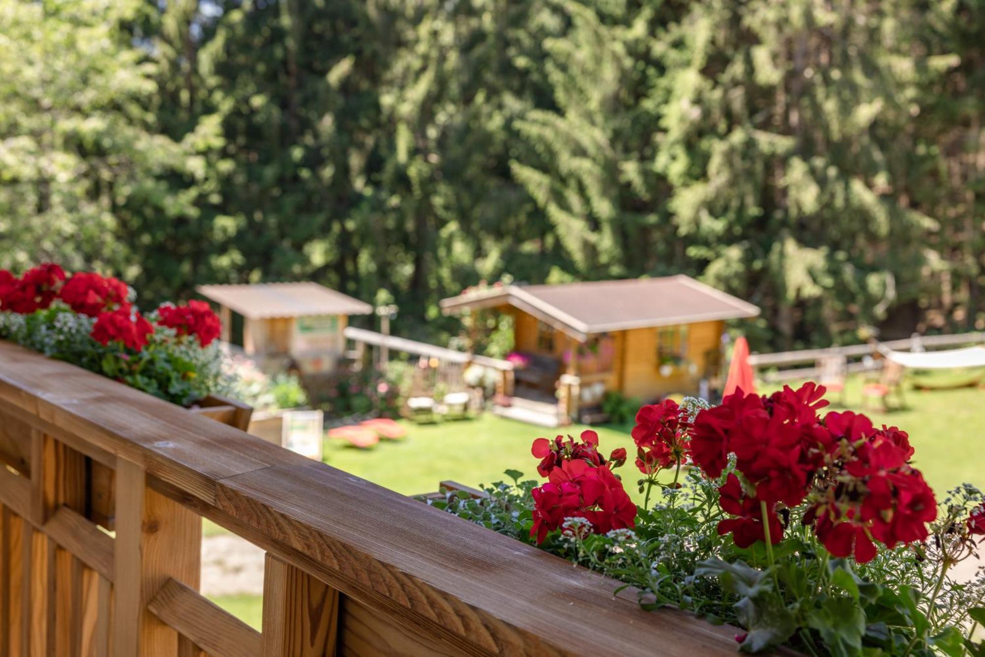 Apartamento Bio-Bergbauernhof Weger Dellach  Exterior foto