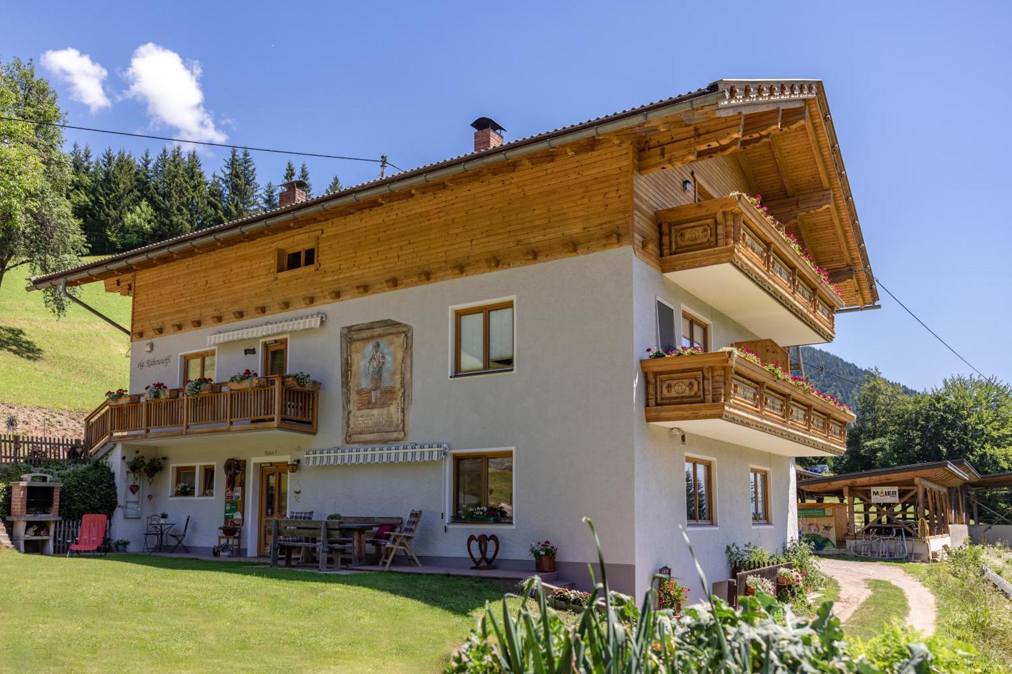 Apartamento Bio-Bergbauernhof Weger Dellach  Exterior foto