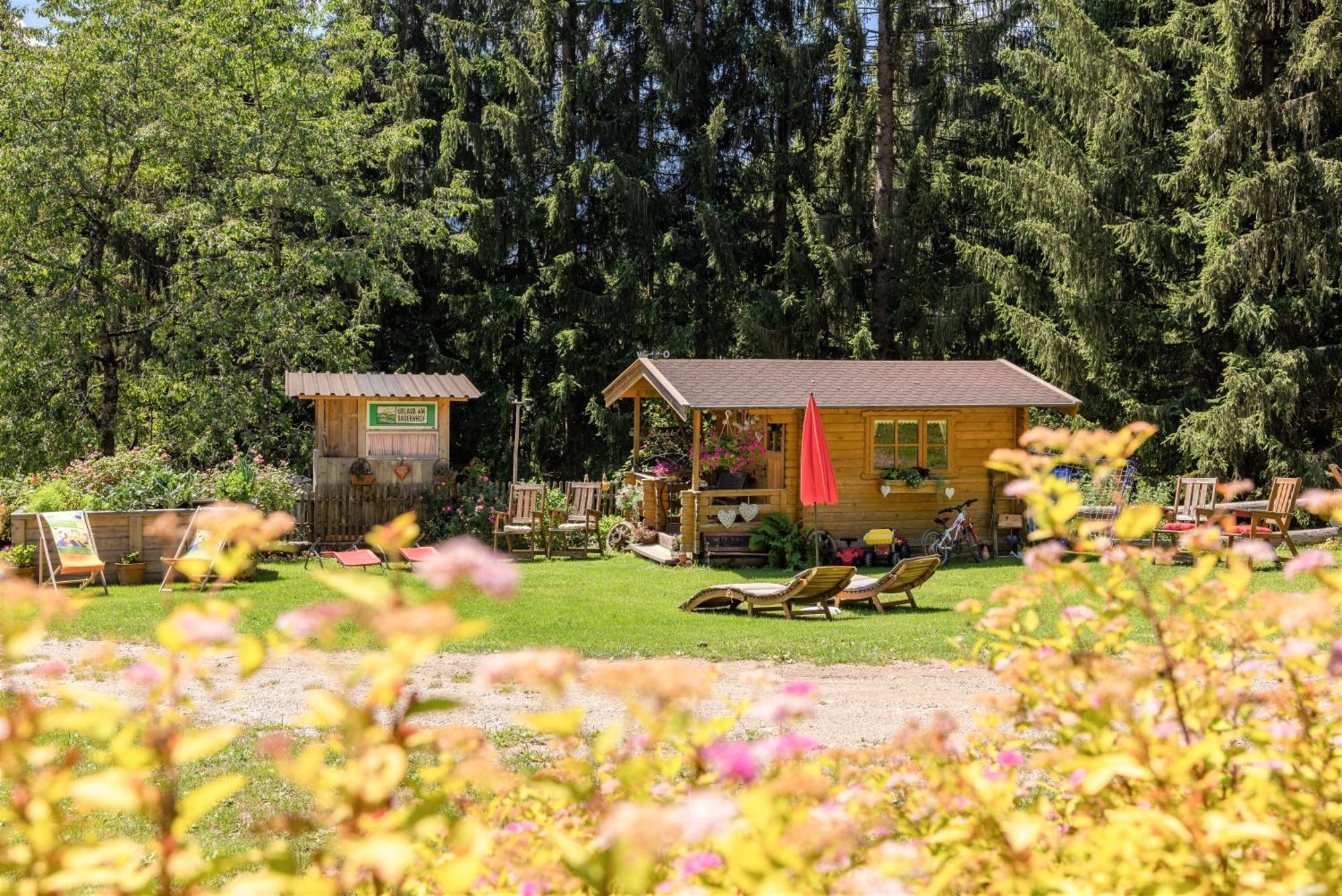 Apartamento Bio-Bergbauernhof Weger Dellach  Exterior foto